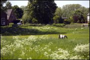 arnhem vvbvanbree2439